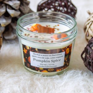 🔥Pumpkin Spice🍁