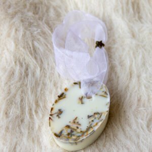 🌟Medallón de protección🧹<br> Ruda<br>1 unidad