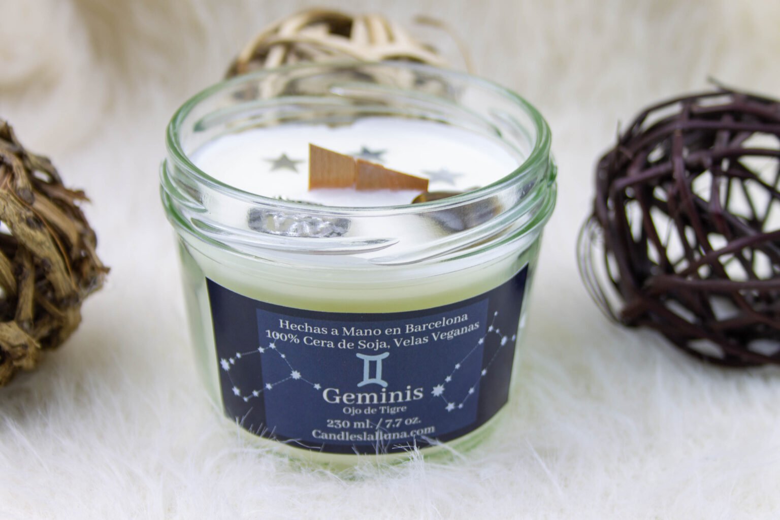 geminis (2)